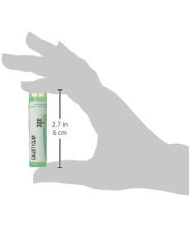 Buy Boiron Causticum 30X MD - 80 Pellets for Bed-Wetting & Bladder Incontinence | Fast International Shipping - Buy Online on GoSupps.com