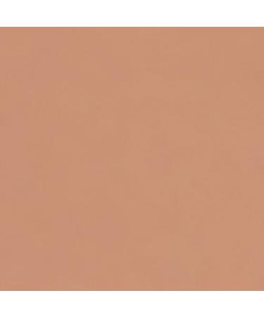 Buy Stargazer Matte Lipstick Number 209 - 5g | International Shipping Available - Buy Online on GoSupps.com