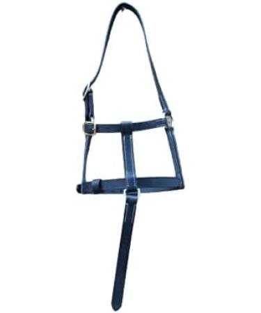 Cwell Equine FOAL LEATHER HEAD COLLAR HALTER BLACK - Buy Online on GoSupps.com