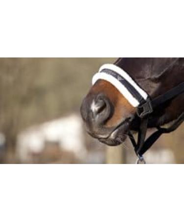 Pfiff 101515 Halter with Faux Fur Lining | Premium Horse Halter for Ponies & Cobs | International Shipping Available - Buy Online on GoSupps.com