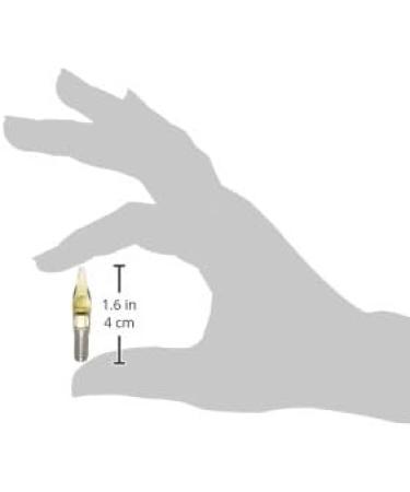 Speedball Calligraphy Pen Nibs 2/Pkg-C-2 - Buy Online on GoSupps.com