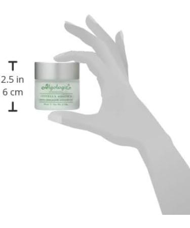 ALGOLOGIE Concealers & Correctors - Buy Online on GoSupps.com