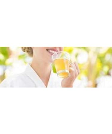 Herbal Cure - Chrysanthemum Tea 4oz Ju Hua Tai Ju - Product of China - Buy Online on GoSupps.com