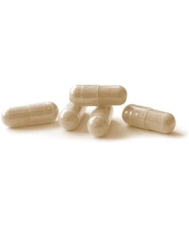 Ceylon Cinnamon Capsules 250 mg - Anastore 4:1 Concentrated Extract | Energy & Antioxidants | International Shipping Available - Buy Online on GoSupps.com