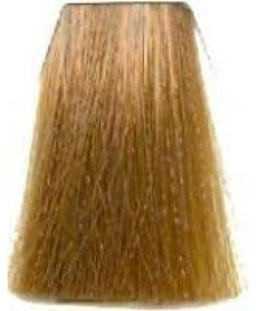 8/73 hellblond braun-gold 8/73 hellblond braun-gold - Buy Online on GoSupps.com