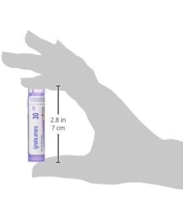 Ignatia Amara 30ch Boiron Homeopathic Medicine - Buy Online on GoSupps.com