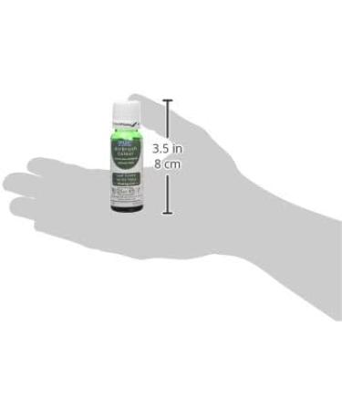 PME Edible Airbrush Leaf Green Colour - Buy Online on GoSupps.com