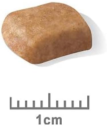 Royal Canin Dry Puppy Food - Poodle 3 kg - Buy Online on GoSupps.com