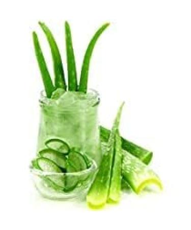 Organ.c Aloe Vera Gel 100% Pure 400g (14 oz) | With Natural Aloe & Vitamin E for Face Skin & Hair | Hydrating Soothing Non-Sticky Gel for Men & Women - Buy Online on GoSupps.com