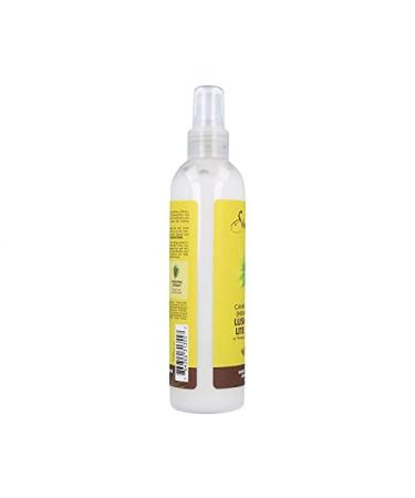 SHEA MOISTURE Hemp Seed Oil Leave-In Conditioner 8oz - Nourishing Hair Care for All Hair Types - Ship Internationally - Buy Online on GoSupps.com