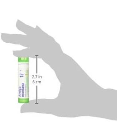 Buy BOIRON USA - Arnica Montana 12x for Health and Beauty | Fast International Shipping - Buy Online on GoSupps.com