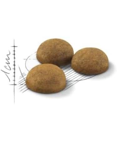 Royal Canin Indoor Long Hair Adult Dry Cat Food 400g - Buy Online on GoSupps.com