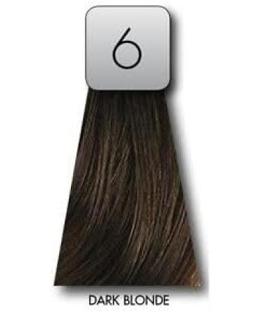 Keune Tinta Color + Silk Protein Hair Color 6 Dark Blonde by Keune - Buy Online on GoSupps.com
