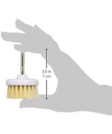 Buy Efalock Efa Spare Part Catena 5 Brushes & Sanding Discs - International Shipping Available - Buy Online on GoSupps.com