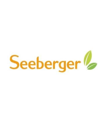 Seeberger Shellless Pumpkin Seeds - Crunchy Vegan Snack & Salad Topping - 500g Pack - Natural Lamp - Buy Online on GoSupps.com