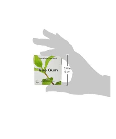True Gum Mint - Plastic-Free Biodegradable Vegan Chewing Gum | 21g - Eco-Friendly Chewing Gum Online - Buy Online on GoSupps.com