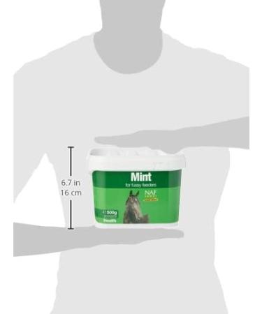 Natural Animal Feeds NAF Mint 500 g (Pack of 1) - Buy Online on GoSupps.com