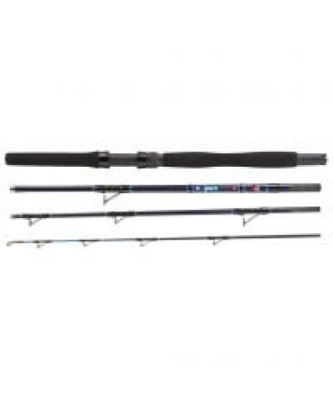 Dega ExxPure Travel rods 4-piece (length 2.10 m / casting weight 25 - 35 lbs)