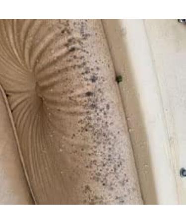 Marine 31 Mildew Stain Remover Gel - Powerful Marine Grade Solution - Buy Online on GoSupps.com