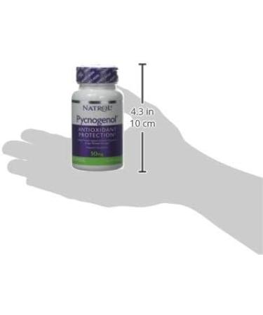 NATROL Pycnogenol 50 Mg - Powerful Antioxidant Supplement - 0.02 lbs - Buy Online on GoSupps.com