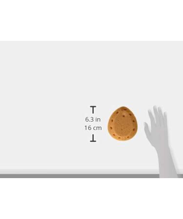 Cleanlogic Foam Sea Sponge 1 Count - Bath and Body Foam Body Sponge - Buy Online on GoSupps.com