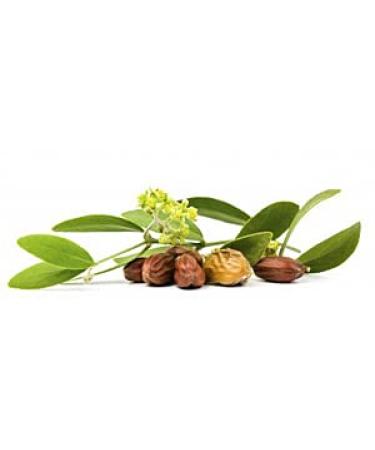 100% Pure Cold Pressed Golden Jojoba Oil - USDA Certified Unrefined Non-GMO for Frizzy Hair Beards Skin & Nails | Best for Acne & Stretch Marks - Buy Online on GoSupps.com
