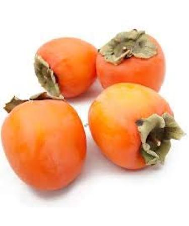 Organic California Hachiya Persimmons - 5 lbs | Fresh & Natural - Buy Online on GoSupps.com
