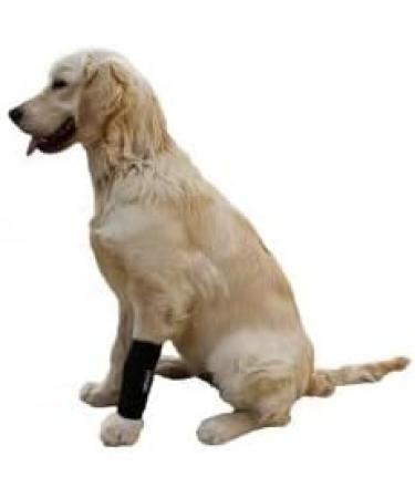 Ortocanis Carpal Support for Dogs with Arthrosis, Ligament Injuries, or Unstable Carpus - Size S | Shop Now - Buy Online on GoSupps.com