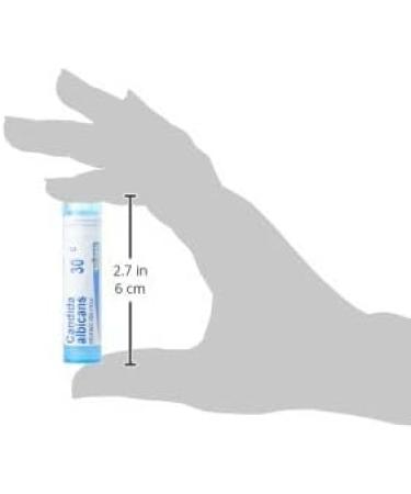 Buy BOIRON USA - Candida Albicans 30c | Effective Health & Beauty Supplement for International Shipping - Buy Online on GoSupps.com