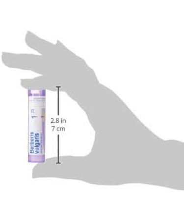 Buy BOIRON USA Berberis Vulgaris 1M - Premium Health and Beauty Supplement | International Shipping Available - Buy Online on GoSupps.com