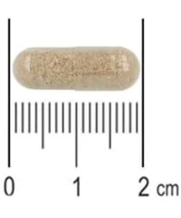 Naturitas Harpagofito and sauce 100 capsules - Buy Online on GoSupps.com