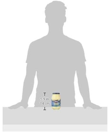  Italian Gourmet E.R. Pack of 6 Kraft classic mayonnaise-style French fry sauces 500 ml - Buy Online on GoSupps.com