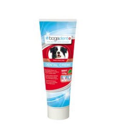 BOGADENT Dental Cream Mint vet. 100 gram
