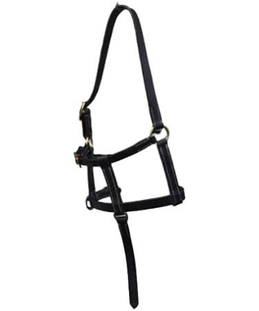 Cwell Equine FOAL LEATHER HEAD COLLAR HALTER BLACK - Buy Online on GoSupps.com