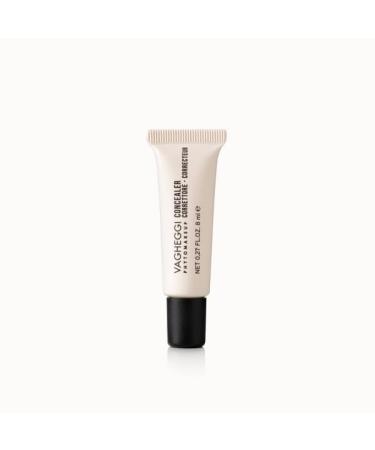 Vagheggi Concealer #10