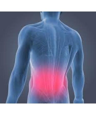 Joint Ritis Roll On - Fast-Acting Pain Relief Formula | 1 Roll-On - Buy Online on GoSupps.com