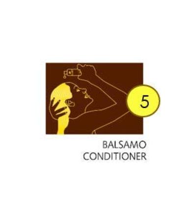 SANOTINT TINTA CLASSIC COLOUR 2 DEEP BROWN - 3 x 125 ml Packs | International Shipping Available - Buy Online on GoSupps.com