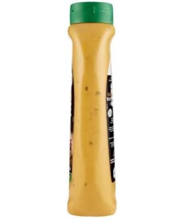  Italian Gourmet E.R. Develey Gluten-Free Hamburger Sauce Spicy and Creamy 875 ml + 400 g can - Buy Online on GoSupps.com