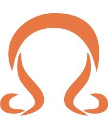 Eulenspiegel 106419 - Self-adhesive stencil - Lion