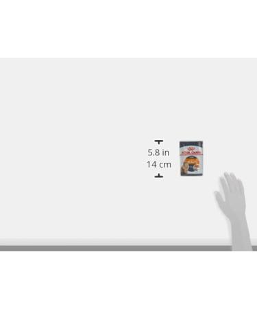 Royal Canin Hair & Skin Care In Jelly Adult Wet Cat Food 85g (Pack of 12) - Buy Online on GoSupps.com
