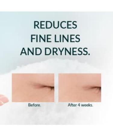 [FANCL] Facial Cleansing Powder - 100% Preservative Free | Sensitive Skin Clean Skincare [US Exclusive] - Buy Online on GoSupps.com