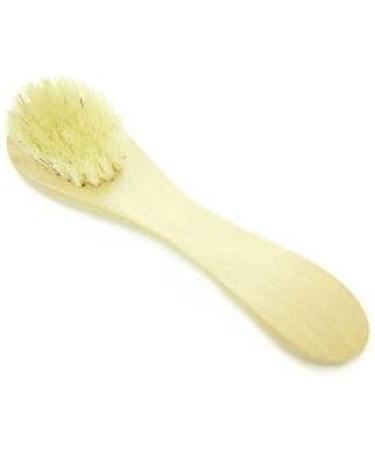 Healthevryday Facial Cleaning Exfoliate Brush Facial Skin Care Tool Pore Cleaner Brush with High Grade wood Holder and Soft Bristle - Buy Online on GoSupps.com