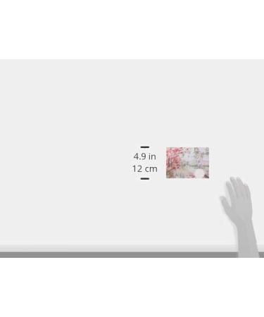 Allen's Scottish Shortbread Spring Flavors 3.25 oz 4 Pack - Delicious Spring Flavors - 4 Pack of 3.25 Ounce Shortbread Cookies - Buy Online on GoSupps.com