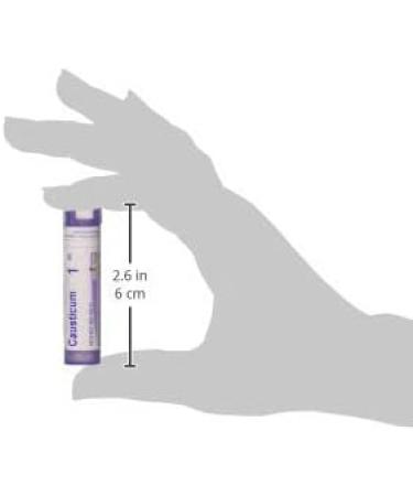 Buy Boiron Causticum 1M Md - 80 Pellets for Bedwetting & Bladder Incontinence | Fast International Shipping - Buy Online on GoSupps.com