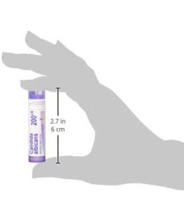 Boiron Candida Albicans 200Ck - Homeopathic Remedy for Yeast Infection Symptoms | 80 Pellets | International Shipping - Buy Online on GoSupps.com