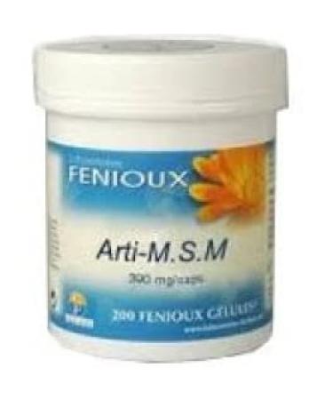 FENIOUX FENIOUX Arti MSM 390 MG 200 Caps Single Standard
