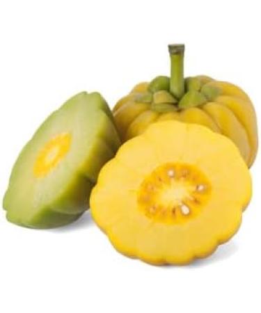 Garcinia Cambogia Powder | 100g Bag | Slimming Diet | Fat Storage Action | Made in Occitania | Nature AZ - Buy Online on GoSupps.com