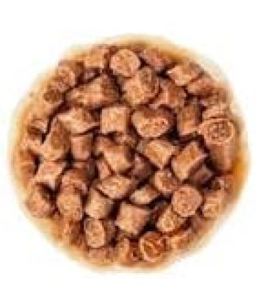 Royal Canin Kitten Complete Wet Food in Gravy 48 x 85g - Buy Online on GoSupps.com