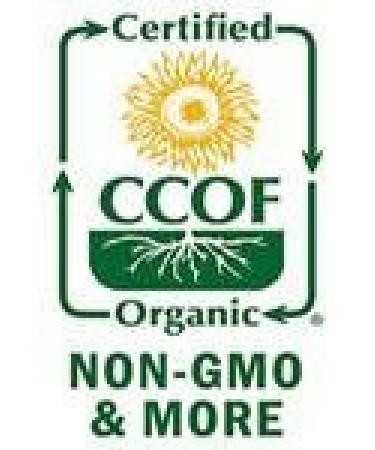 Indus Organics Green Cardamom Pods 3 Oz Bag - Premium Grade, Hand-Picked & Freshly Packed - Buy Online on GoSupps.com