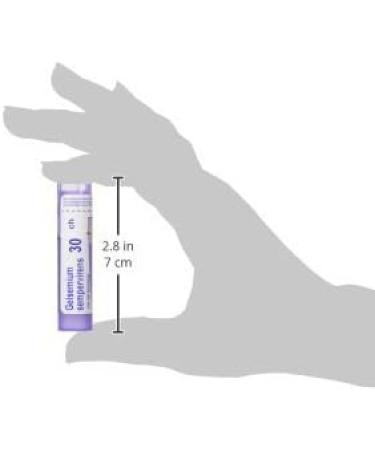Gelsemium Sempervirens 30ch Boiron Homeopathic Medicine 4 g (Pack of 1) - Buy Online on GoSupps.com